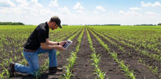 Digital transformation in Agricultural