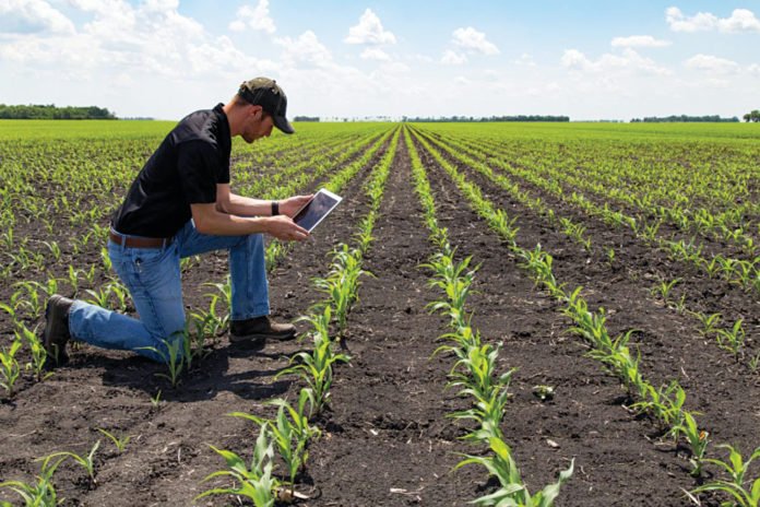 Digital transformation in Agricultural Digital transformation in Agricultural